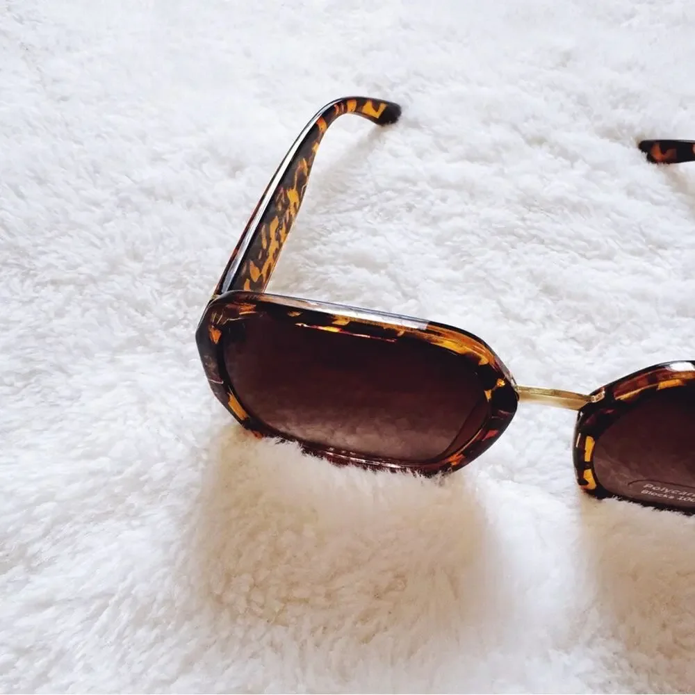 Layla Tortoise Brown Sleek Square Sunglasses